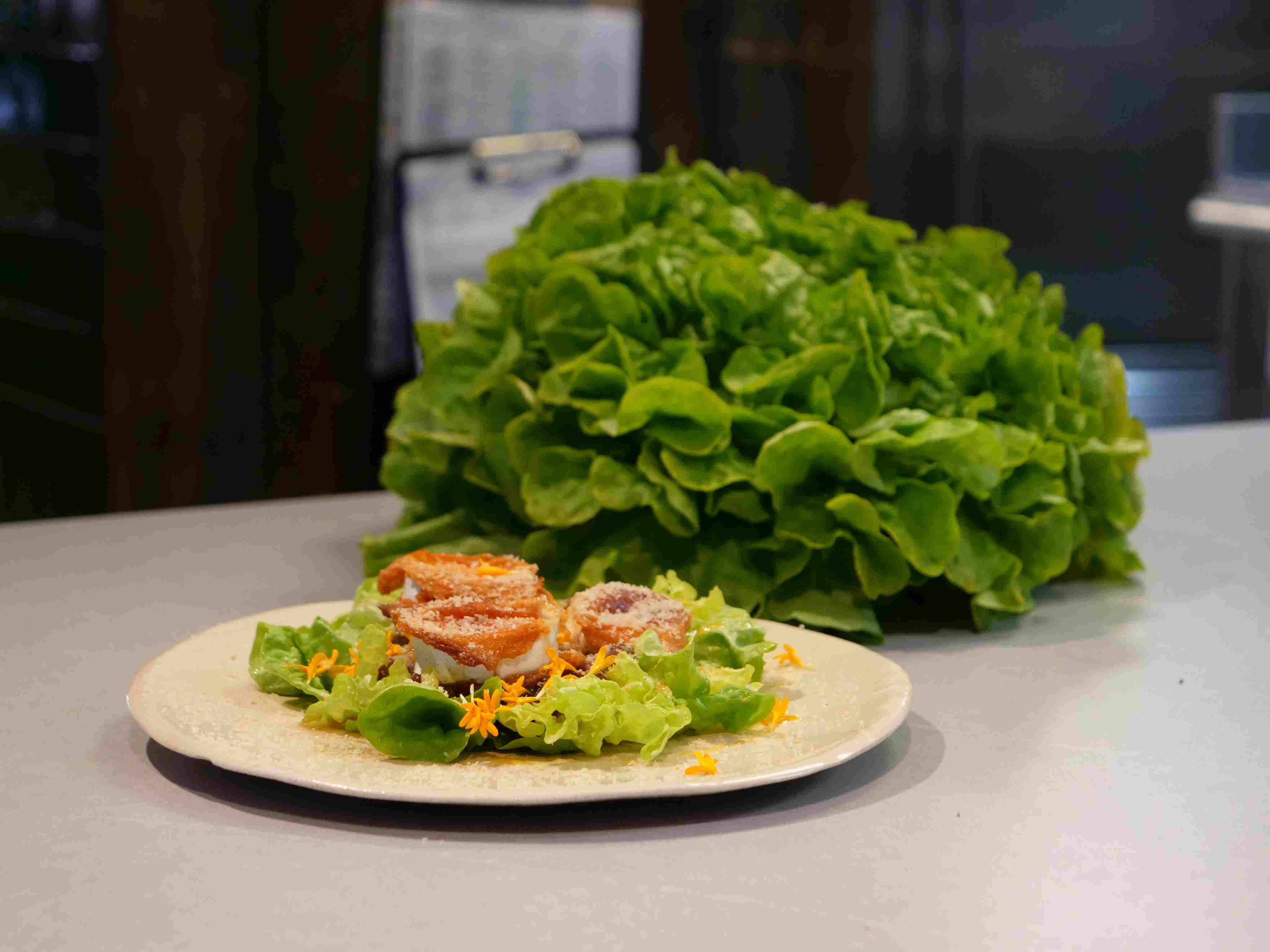 Polimake producto creativo