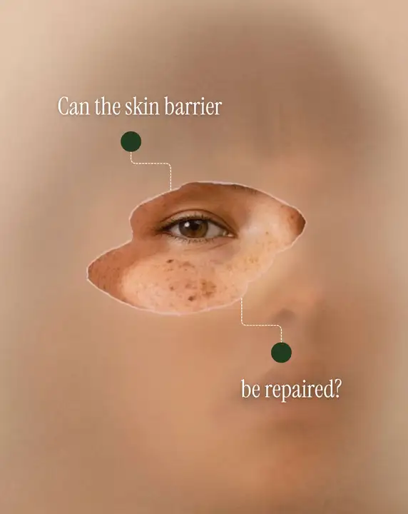 Pieza creativa de Polimake