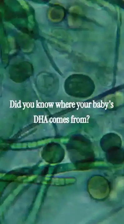 Pieza creativa de Polimake